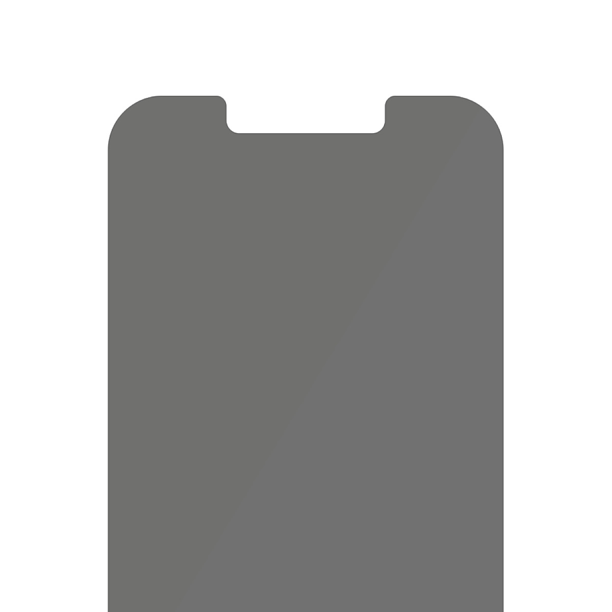 PanzerGlass iPhone 2021 5.4 Privacy Antibakt., Standard Fit 93008073_2604107802
